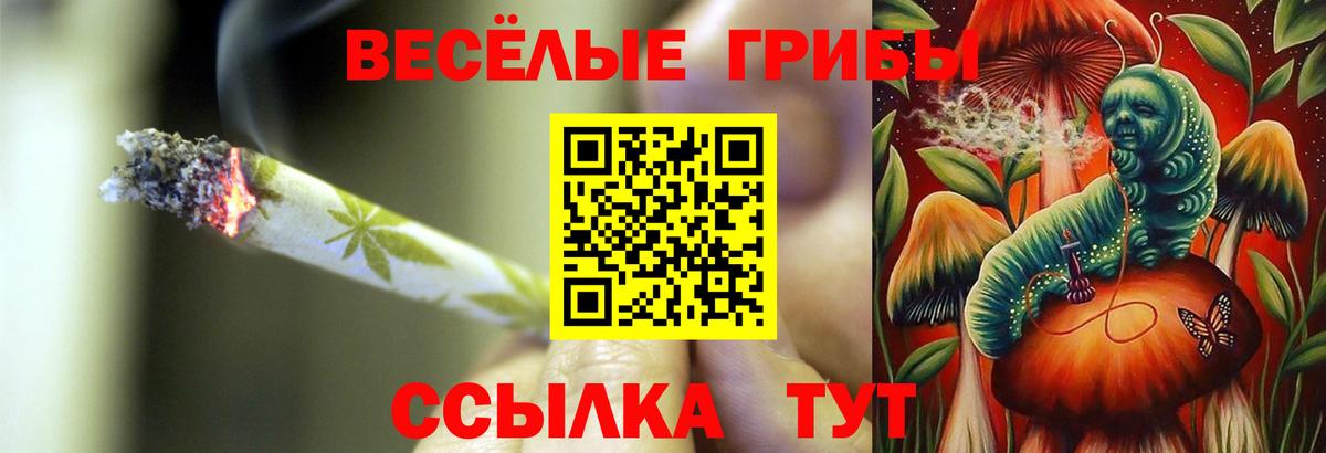 Прокопьевск  Галлюциногенные грибы мухоморы  Вход с VPN 