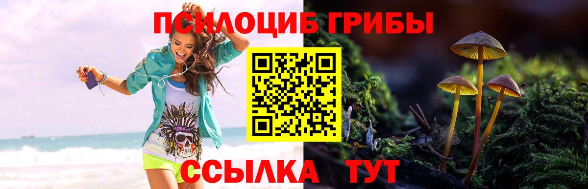 Галлюциногенные грибы Psilocybe Прокопьевск